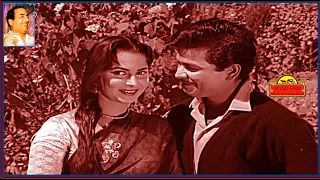 MOHAMMED RAFI SAHAB~Film~Kaun Apna Kaun Paraya~{1963}~Zara Sun Haseena e Nazneen~[ TRIBUTE To RAFI ]