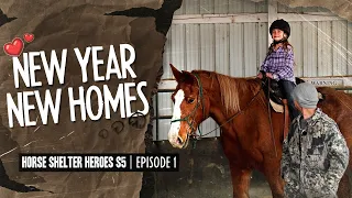 Horse Shelter Heroes S5E1 - New Year New Homes!