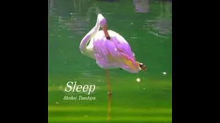 Stepmania 5/SM5 - Sleep / Shohei Tsuchiya