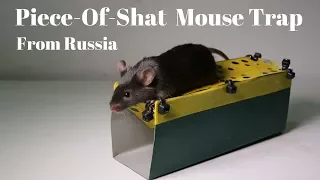 The Piece-Of-Shat Mousetrap From Russia - Sold On Amazon