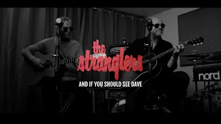 'And If You Should See Dave...' - (Dark Matters Acoustic Sessions)