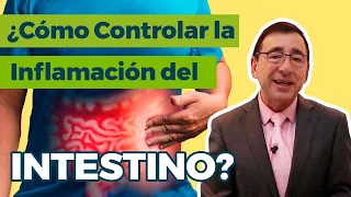 Cómo controlar la Inflamación del Intestino - Dr. José Alvarado