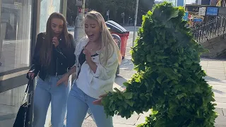 Her reactions is Priceless. Bushman Prank