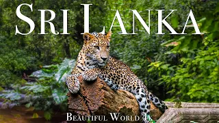 Sri Lanka 4K Nature Relaxation Film - Meditation Relaxing Music - Amazing Nature