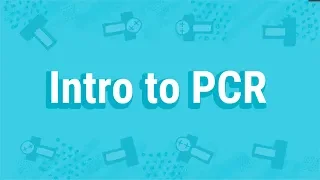 What is Polymerase Chain Reaction (PCR)?