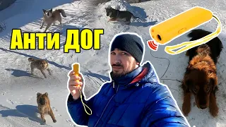 Отпугиватель собак | Анти Dog | Собрал всех собак