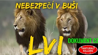 04 LVI - Nebezpečí v buši (DOKUMENT - Predátoři zblízka)