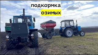 Подкормка озимых. Наконец то в ПОЛЕ!