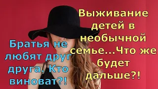 Обзор влогов  Екатерина Сайбель  Братья не любят друг друга. Кто виноват?!