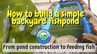 How to build a simple backyard fishpond: From pond construction to feeding fish