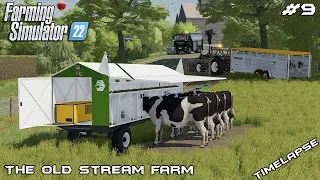 Moving COWS to PASTURE & new MOBILE MILKING | The Old Stream Farm | Farming Simulator 22 | Episode 9