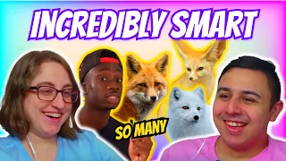 Casual Geographic - How a TINY CATDOG took over the world | Eli and Jaclyn REACTION!!