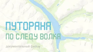 Сибирь. Плато Путорана. Озеро Аян. По следу волка. Nature of Russia.