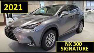 2021 Lexus NX 300  AWD Luxury Package Review of Features and Full Walk Around