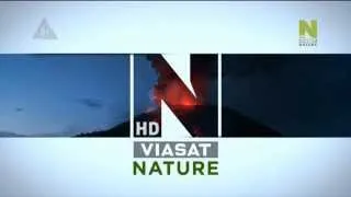 Viasat History HD / Viasat Nature HD - New Idents! 30.04.2014