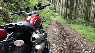 Triumph Street Scrambler | 伊豆のフラット林道