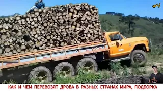 КАК И ЧЕМ ВОЗЯТ ДРОВА В РАЗНЫХ СТРАНАХ МИРА #4 / TRANSPORTATION OF FIREWOOD IN DIFFERENT COUNTRIES