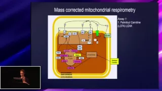 Nitrate supplementation and peroxisome proliferator-activated receptor alpha knockout, Katie O'Brien