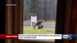 Portsmouth police: Video shows man abusing dog