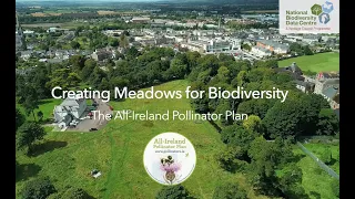 Creating Meadows for Biodiversity