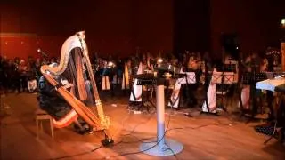 harpist Regina Ederveen plays Londonderry Air on Harp Day The Netherlands