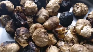 How To Make Black Garlic at Home (DIY)
