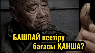 Башпай кестіру бағасы қанша?