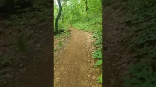 숲속 오솔길 걷기