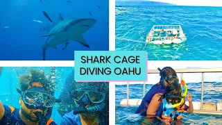 North Shore Shark Adventures Oahu | Shark Cage Diving Hawaii