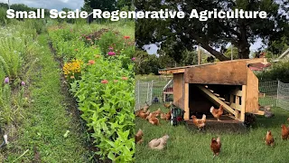 Regenerative Farming Small Scale: How do you do it?