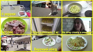 Влог, 4 апреля, Ночью в магазин, Вкусный обед, Лена налепила 2 кг пельменей, Кролик на ужин