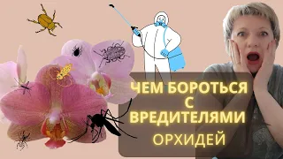 ЧЕМ БОРОТЬСЯ С ВРЕДИТЕЛЯМИ ОРХИДЕЙ? | Мои способы обработки