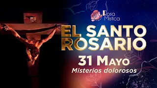 El Santo Rosario Viernes 31 Mayo 2024