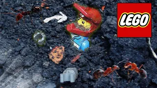 I buried a LEGO for 1 YEAR