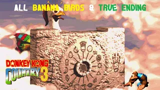 Donkey Kong Country 3 (GBA) (105%) (10|10) / All Banana Birds & True Ending [3:2/4K@60]