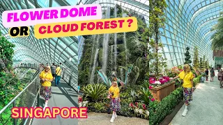 Stunning Flower Dome! | Wonderful Cloud Forest! | Singapore | Viral!