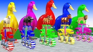 5 Giant Duck, Monkey, Piglet, chicken, buffalo, lion, cow, Sheep, Transfiguration funny animal 2023