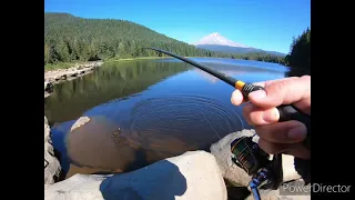 TROUT FISHING up in the MOUNTAINS! *Timothy*trillium*north fork