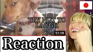 Try not to laugh CHALLENGE 52 - by AdikTheOne Japanese Reaction