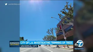 Shady move? Investigation into tree trimming where actors, writers picket