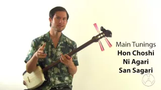 Bachido Blog: How to Tune Shamisen