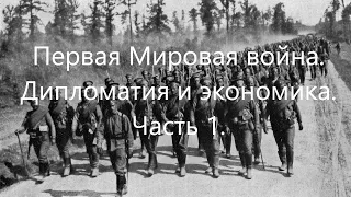 Первая Мировая война. Дипломатия и экономика воюющих стран в 1914-1915 годах.