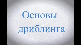 Ведение шайбы. Основы.