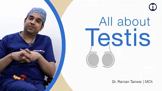 Testis ya Goliyon ki vo Jaankari jo Har Aadmi ko pata honi chahiye | Basics of the Testis for Men