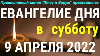 Евангелие дня. 9 апреля 2022. Чтение от Марка