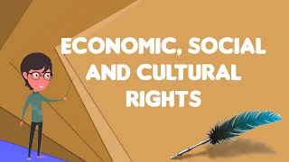 What is Economic, social and cultural rights?, Explain Economic, social and cultural rights
