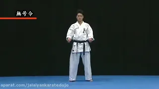 Kyokushin Kata (太極 Taikyoku)