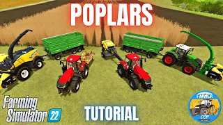 GUIDE TO GROWING POPLARS - Farming Simulator 22