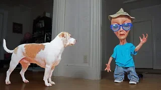 Dog vs Alien in Disguise Prank: Funny Dogs Maymo, Penny & Potpie