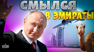 Путин смылся в ОАЭ. Си нанес удар по Кремлю. В России переполох - Пионтковский